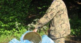 Fotka nr 5 z 25