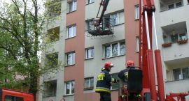 Fotka nr 5 z 7