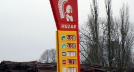 zdjęcie nr 7