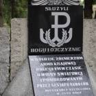 zdjęcie nr 51