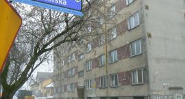 Fotka nr 2 z 7