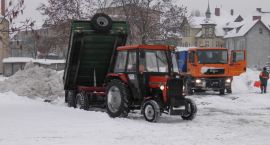 Fotka nr 2 z 4