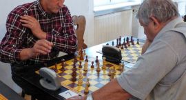 Fotka nr 5 z 8