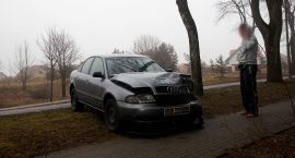 Fotka nr 3 z 4