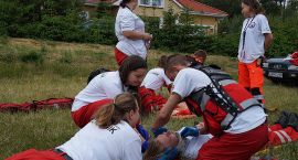 zdjęcie nr 11
