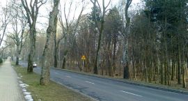 zdjęcie nr 10