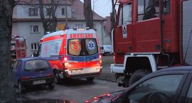 Fotka nr 5 z 6
