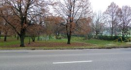 zdjęcie nr 8