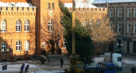 zdjęcie nr 49