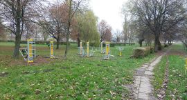zdjęcie nr 7