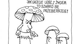 zdjęcie nr 23