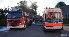 Fotka nr 1 z 4