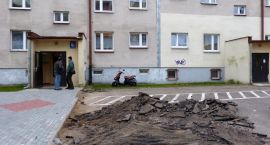 zdjęcie nr 10