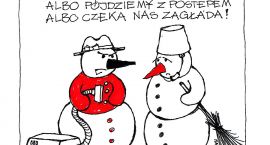 zdjęcie nr 9