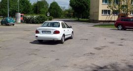 Fotka nr 3 z 6
