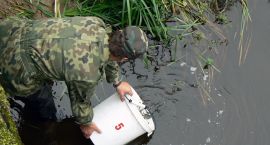 Fotka nr 1 z 11