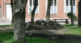 Fotka nr 2 z 6