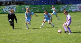 zdjęcie nr 12