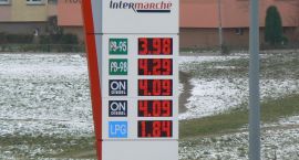 zdjęcie nr 8