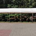 zdjęcie nr 10
