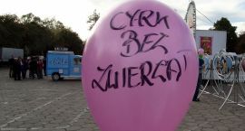Fotka nr 5 z 9