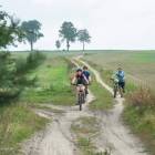 zdjęcie nr 39