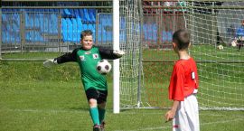 zdjęcie nr 12