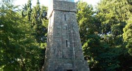 zdjęcie nr 11