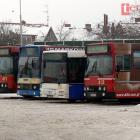 Fotka nr 1 z 5