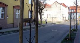 Fotka nr 2 z 6