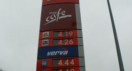 zdjęcie nr 9