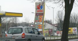 zdjęcie nr 10