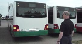 Fotka nr 4 z 14