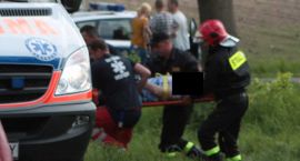 zdjęcie nr 8