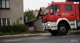 Fotka nr 2 z 3