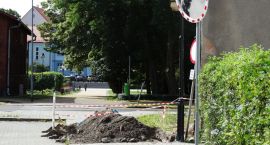 zdjęcie nr 7