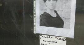 zdjęcie nr 11