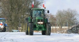 zdjęcie nr 7
