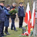 zdjęcie nr 26