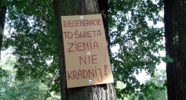 Fotka nr 1 z 2