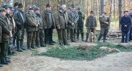 Fotka nr 2 z 19