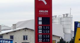 zdjęcie nr 8