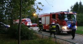 Fotka nr 2 z 11