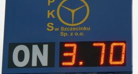 Fotka nr 3 z 8
