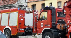 Fotka nr 3 z 4