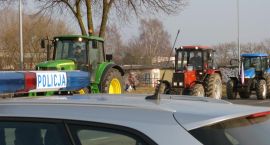 zdjęcie nr 14