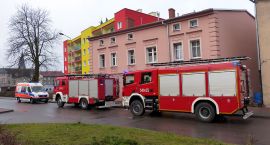 Fotka nr 3 z 4