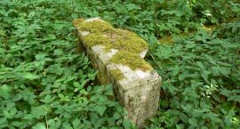 zdjęcie nr 7