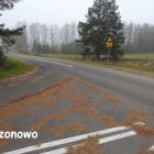 zdjęcie nr 18