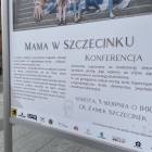 zdjęcie nr 10